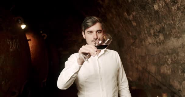 Mooi Gekleed Controleert Drinkt Sommelier Een Glas Rode Wijn Wijn — Stockvideo