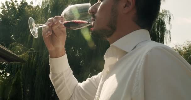 赤ワインをグラスに入れて試飲するソムリエ ソムリエがワインのグラスを振って試飲している 上品な服装の男が味を味わい 透明なガラスに注いだ新鮮な赤ワインを飲んでいます — ストック動画