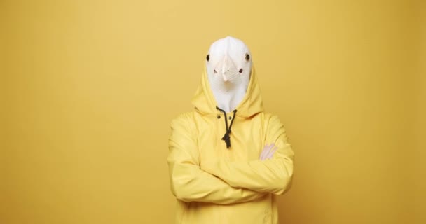 Поняття Веселощів Щастя Дивний Хлопець Жовтих Костюмах Pigeon Mask Людина — стокове відео