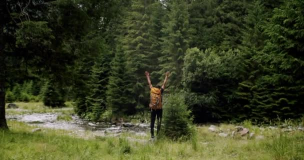 バックパックトレッキングと男性の旅行者のハイキングは 探検で冒険松の森 禅の概念 アウトドアライフスタイル 男性の旅行者は自然を探索するトレイルを歩く 森の中を歩く男 — ストック動画