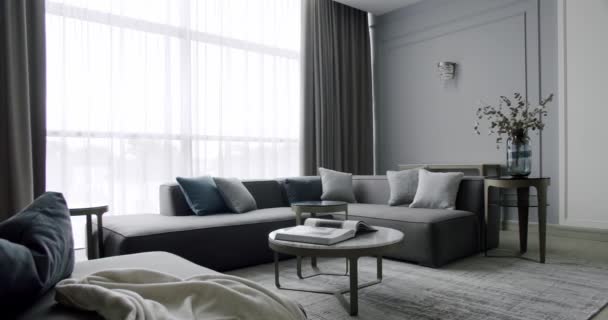 Modern Contemporary Minimalist Living Room Gray Furniture Luxury Modern House — Video