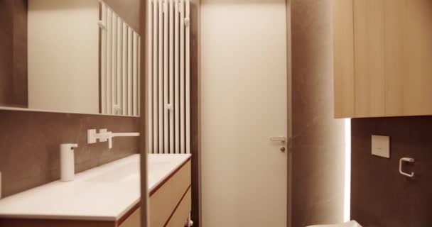 Lüks Banyo Kahverengi Renkli Minimalist Mekan Banyo Aksesuarları Ayna Duş — Stok video