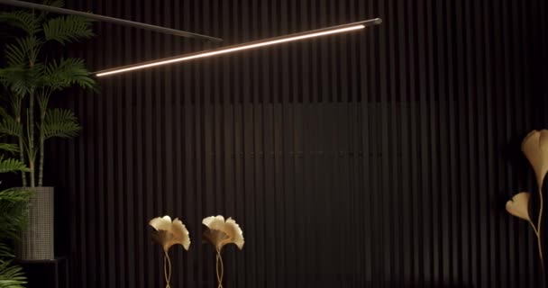 미니멀리즘 현대적 램프는 검은색 내부에 내부에 장비가 현대의 샹들리에 — 비디오