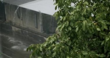 Raining Ice Storm, Torrential Hailstone Rain on Window, Inundation, Flooding, Rainfall, Natural Calamity Disaster Heavy Rainy Day. Torrential Rainstorm With Hail In Urban Residential Street