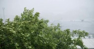 Su baskını, seller, sağanak yağış, sağanak yağmur, sağanak dolu pencereleri, doğal afet yağmurlu günler. Şehir Mahallesi 'nde Şiddetli Sağanak Yağmurweather forecast
