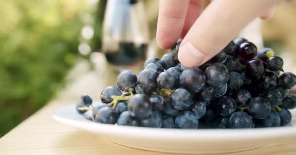 一个人的手从盘子里漂亮的葡萄里取出一个浆果 后面是满满一杯红葡萄酒 酿酒厂概念 — 图库视频影像