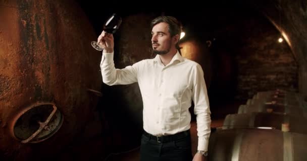 Man Provsmakar Vin Fabrik Eller Ett Lager Snyggt Klädd Sommelier — Stockvideo