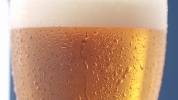 Copo Molhado Cerveja Refrescante Fria Estúdio Fechar Gotas Água Rolando — Vídeo de Stock