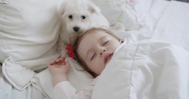 Retrato Cerca Una Adorable Niña Año Que Duerme Paz Con — Vídeos de Stock