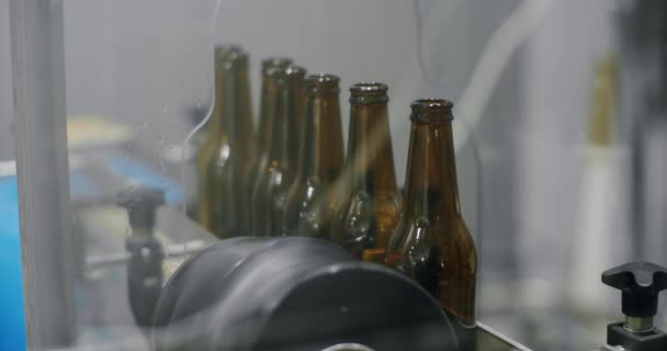Verschließprozess Von Vollen Bierflaschen Maschine Zum Verschließen Von Flaschen Fabrik — Stockvideo
