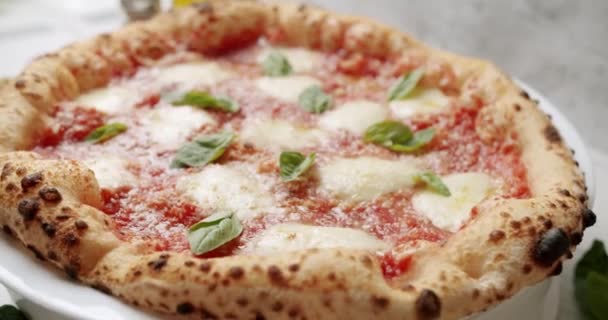 Pizza Margherita Italian Cuisine Neapolitan Margherita Pizza Margherita Pizza Topped — Stok video