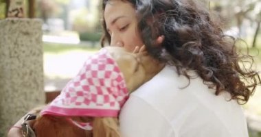 Kadın itaatkar köpeğe bir parça yiyecek verir. Sevimli Evcil Hayvan. Güzel kahverengi saçlı bir köpek caddede oturuyor. İngiliz cocker spaniel dışarıda dinleniyor. Genç, güzel hayvan.