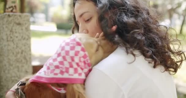 Mujer Una Porción Comida Perro Obediente Adorable Mascota Belleza Hermoso — Vídeos de Stock