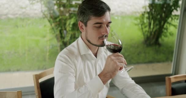 Die Rotation Des Glases Kräuselt Die Oberfläche Des Weins Und — Stockvideo