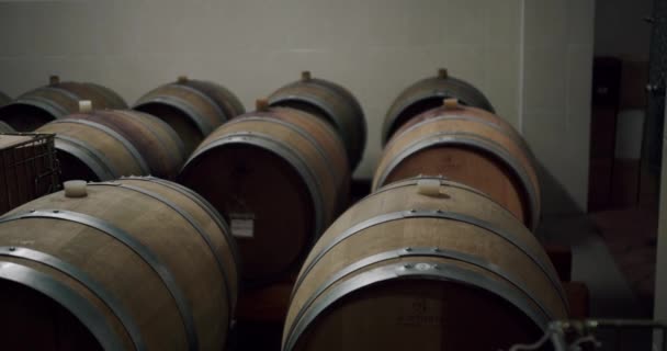 Hnědý Dřevěný Sud Tradiční Vinařství Zrající Dřevěné Sudy Vínem Brandy — Stock video