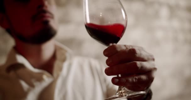 工場や倉庫でワインを味わう男 素敵な服を着たソムリエが赤ワインのグラスをチェックし 飲んでいます ワイン造りの概念 男性のワインメーカーは味を試飲し 新鮮な赤ワインをチェックしています — ストック動画