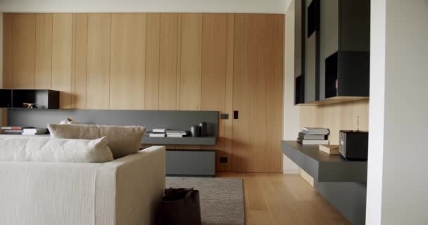 Luxury Elegant Room Wooden Modern Door Modern Contemporary Minimalist Living — Video Stock