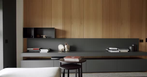 Minimalistyczne Wnętrze Przytulny Nowoczesny Design Mebli Nowoczesny Minimalistyczny Salon Drewnianą — Wideo stockowe