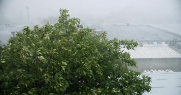 Torrential Hailstone Rain Window Inundation Flooding Rainfall Natural Calamity Disaster — Stock Video