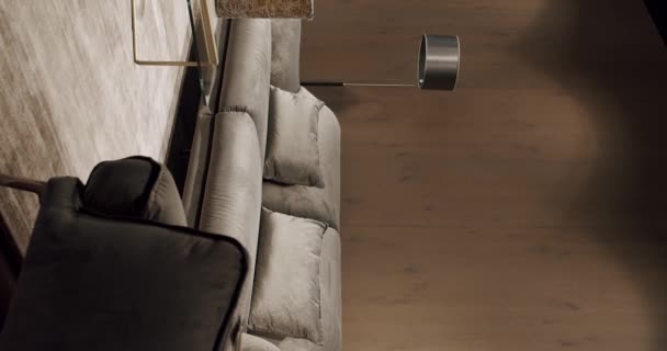 Moderní Moderní Minimalistický Obývací Pokoj Šedým Nábytkem Dřevěnou Zdí Módní — Stock video