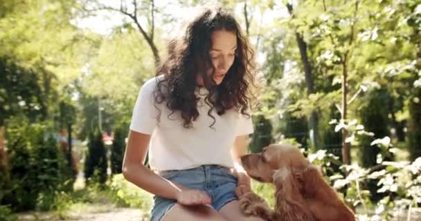 Счастливая Женщина Развлекается Играя Собакой Женщина Своей Собакой Обнимает Целует — стоковое видео