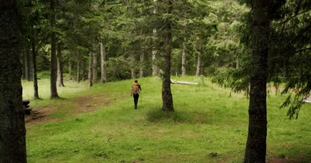 バックパックの森の中を歩いてアクティブな健康な男性のビューです 男性の旅行者は自然を探索するトレイルを歩く 旅行ブロガーやインフルエンサーの散歩の意欲的なショットをさまようインスピレーション — ストック動画