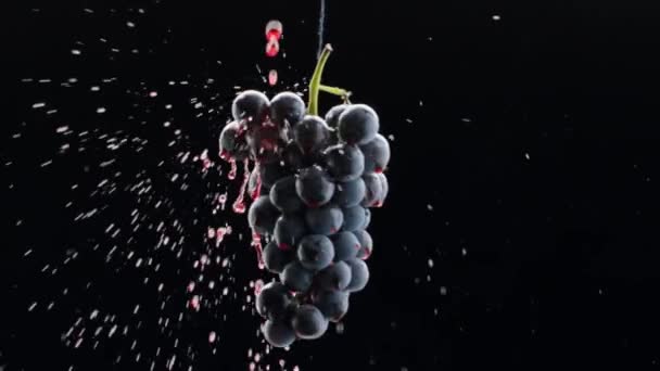 ブドウは閉じられます ループ モーション ワインのコマーシャルのための美しいストック映像 高級ブドウを味わう 高品質のクリエイティブ ヴァイン 熟したブドウの上を赤ワインが流れる — ストック動画