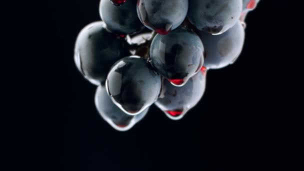 Fresh Black Grapes Rotation Isolated Black Background Super Slow Motion — Stock video