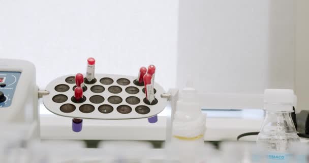 Blodet Blandas Laboratoriet Laboratorieskakare Vänder Ett Provrör Med Ett Blodprov — Stockvideo