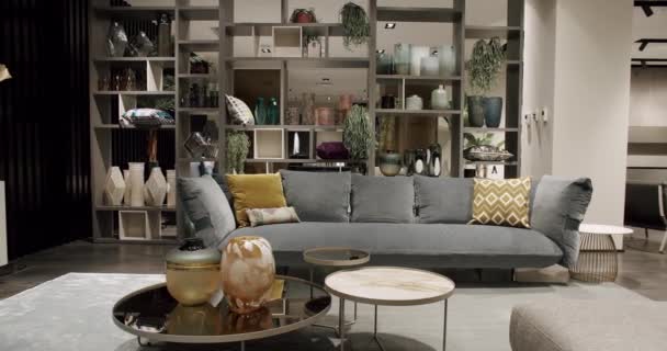 Modern Contemporary Minimalist Living Room Gray Furniture Fashionable Furniture Minimalist — Wideo stockowe