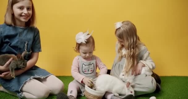Дети Играют Кроликами Держат Корзину Цветных Яиц Изолированном Желтом Фоне — стоковое видео