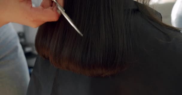 Hairdresser Trimming Brown Hair Scissors Woman Cutting Hair Barber Scissors — Stok video