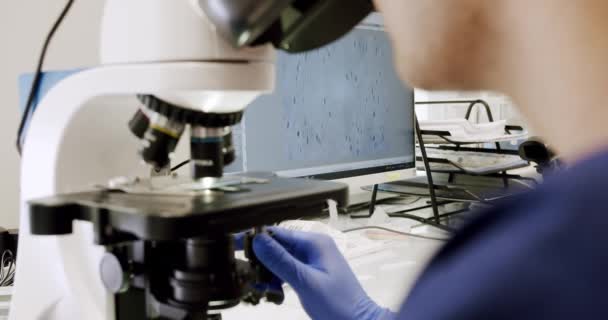 Doctor Examines Sperm Samples Microscope Lab Worker Regulating Microscope Research — Wideo stockowe