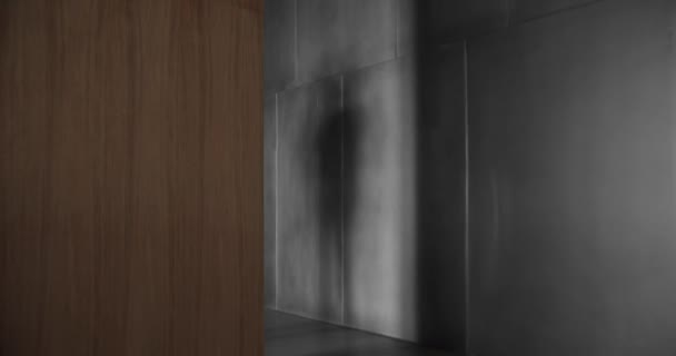 男人的影子出现在公寓的水泥墙上 简约的现代住宅 最低限度的木制墙体 混凝土地板 豪华房间的设计 — 图库视频影像