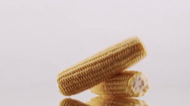 Two pieces of corn collide in the middle on a white reflective surface and isolated white background. Vegetarian food. studio shooting. Fresh corn.