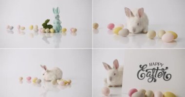 Collage from many footage for Happy Easter Concept. Little Bunnies on isolated Background with many coloured eggs. Easter eggs. A little Rabbit is playing with the inscription Happy Easter.