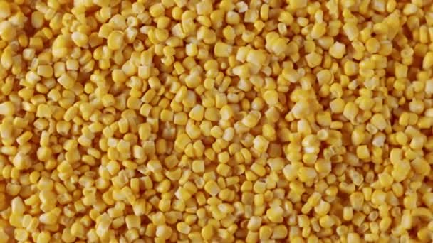 多くの熟したトウモロコシのカーネルで満たされた表面のトップビュー ズームとスローモーション 黄色の質感の表面に新鮮なトウモロコシのカーネル — ストック動画