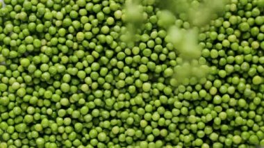 Some peas falling from the top in a surface full of many ripe green peas. Slow motion. Fresh green pea on green texture surface.