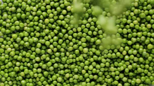 Some Peas Falling Top Surface Full Many Ripe Green Peas — Vídeo de Stock