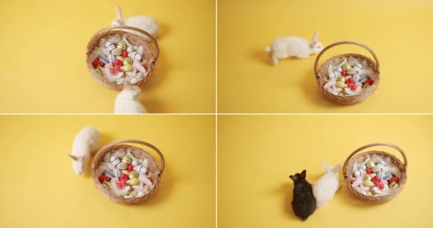 ハッピーイースターコンセプトのための多くの映像からコラージュ 多くの色の卵と隔離された背景に小さなバニー ハッピーイースターの日 面白いかわいいふわふわのウサギ 素敵な動物の概念 — ストック動画