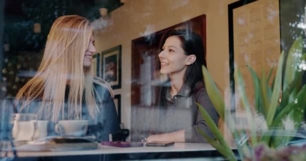 Kafede Muhabbet Eden Mutlu Kız Arkadaşlar Pencerenin Arkasındaki Kafeterya Masasında — Stok video