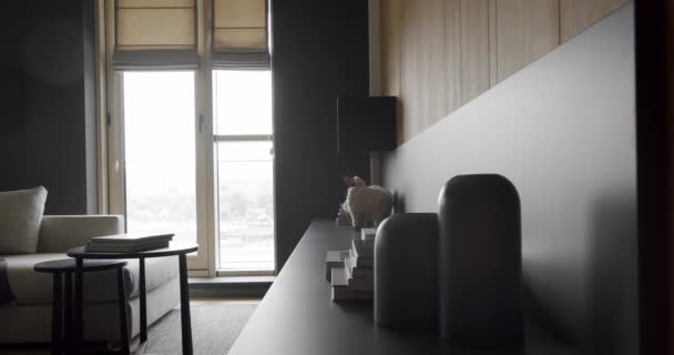 Modern Contemporary Minimalist Living Room Wooden Wall Gray Furniture Luxury — Vídeo de stock