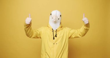 Man in pigeon mask gesturing thumbs up. Static shot of male in stylish hoodie and pigeon mask gesturing thumbs up and dancing against yellow background. Fun and happiness concept. Funny Guy Dance.