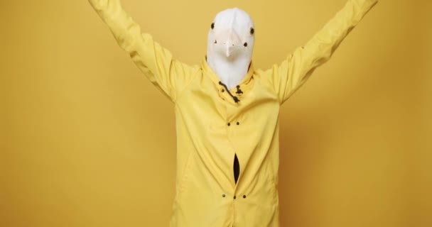 Fun Happiness Concept Funny Guy Yellow Suits Dance Pigeon Mask — Video Stock
