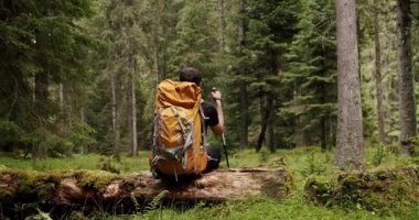 Man sitting on a tree and resting in the middle of a forest while hiking. Back view of active healthy male with a backpack walking in pine woods. Male traveler walks by trail exploring nature.