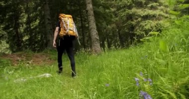 Inspiring wanderlust motivational shot of travel blogger or influencer walk in forest. Man hiking or camping in wilderness walk on path or trail. Outdoors lifestyle. A man walking in the forest.
