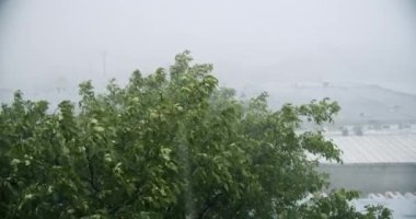 Rainfall, Natural Calamity Disaster Heavy Rainy Day. Raining Ice Storm, Torrential Hailstone Rain on Window, Inundation, Flooding, Torrential Rainstorm With Hail In Urban Residential Street