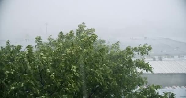 Падіння Дощу Стихійне Лихо Важкий Дощовий День Дощова Крижана Буря — стокове відео