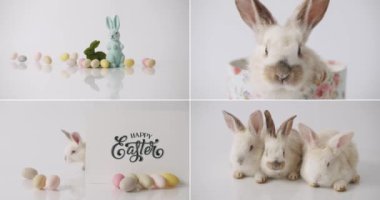 Collage from many footage for Happy Easter Concept. Little Bunnies on isolated Background with many coloured eggs. Funny Cute fluffy rabbit,A little Rabbit is playing with the inscription Happy Easter