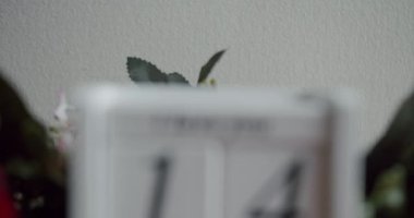 Happy Valentines Day. 14 February Valentines Day idea. Calendar with the date February 14 and the inscription I love you, with pink rose flowers and many hearts.